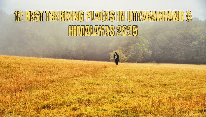 12 Best Trekking Places In Uttarakhand & Himalayas 2025