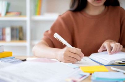 dissertation writing services