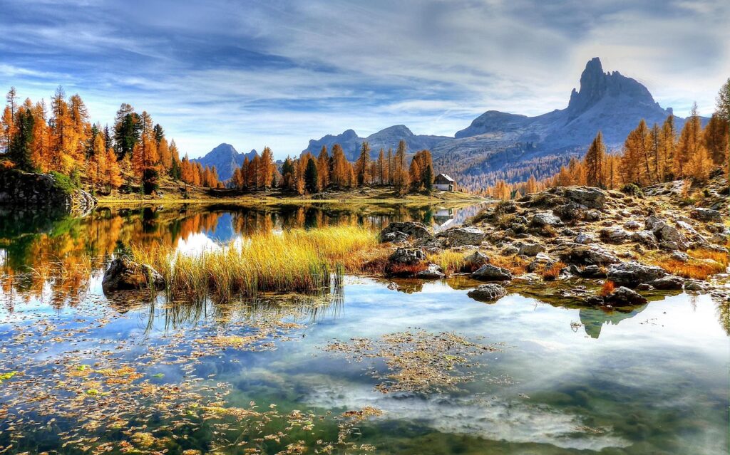 golden triangle tour 5 days