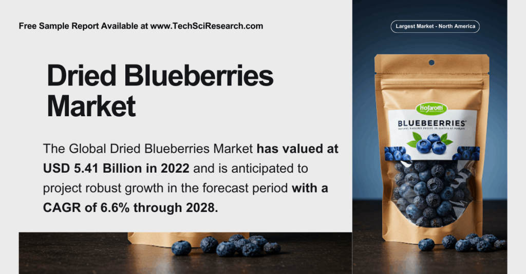 Dried Blueberries Market Analysis: USD 5.41 Billion Valuation and Strong Growth Ahead. Get a Free Sample Report for insights.