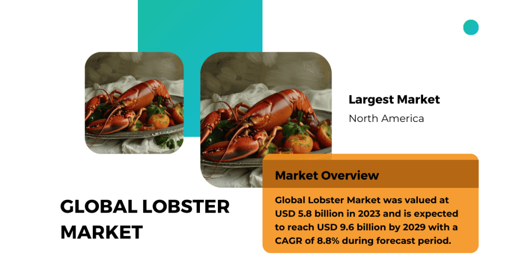 Global Lobster Market stood at USD 5.8 billion and is expected to reach USD 9.6 billion by 2029 with a CAGR of 8.8% during forecast.