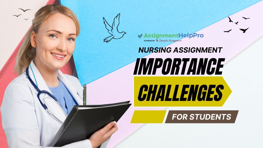 nursing assignment