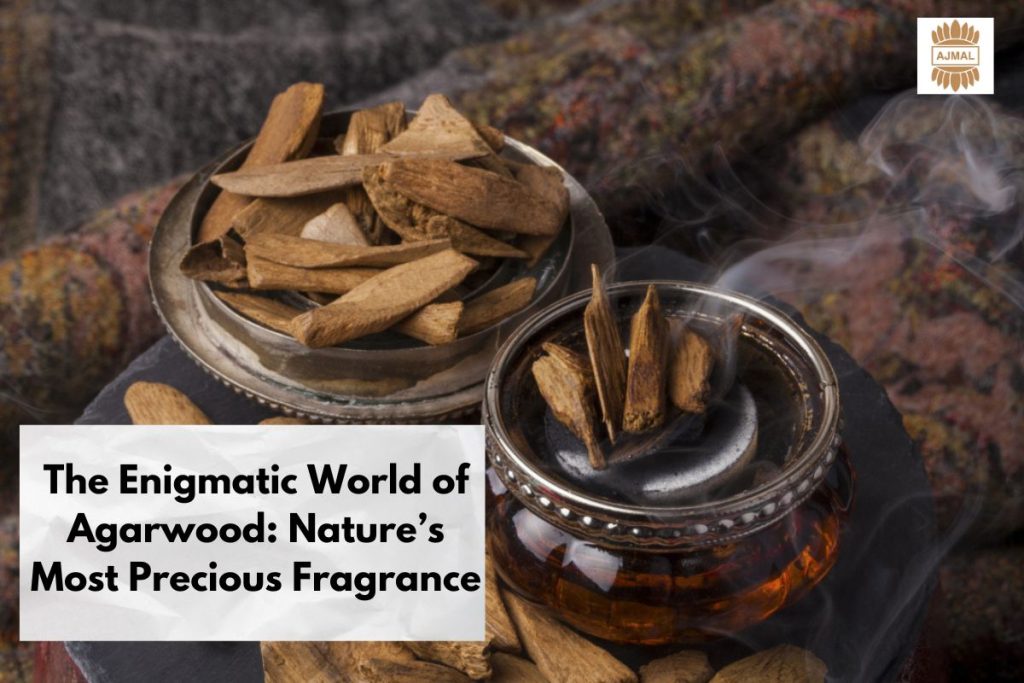 The Enigmatic World of Agarwood: Nature’s Most Precious Fragrance